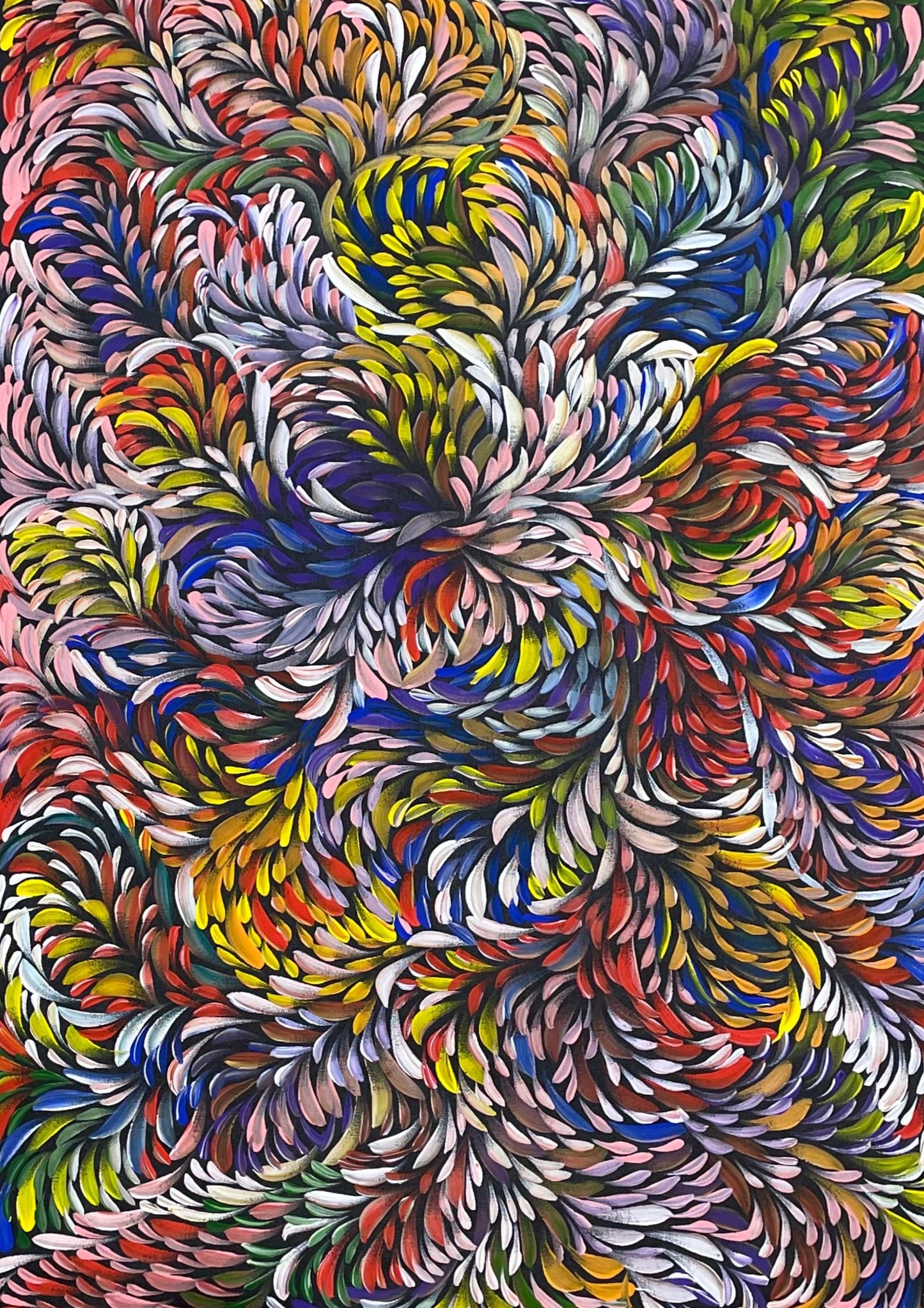 Bush Medicine Leaves | SP-2482