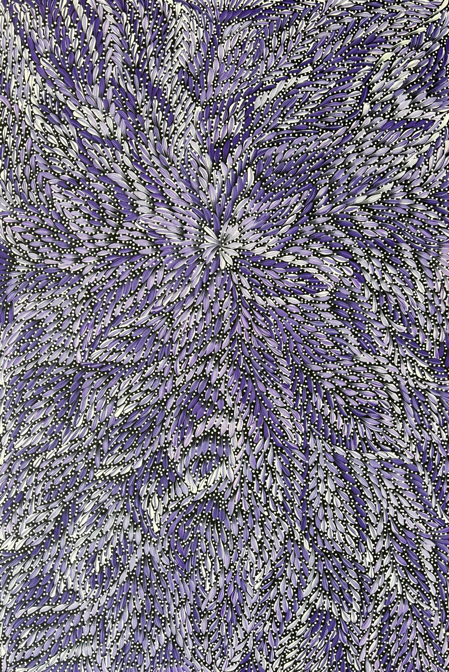 Seeded Bush Medicine Leaves | SP-2507