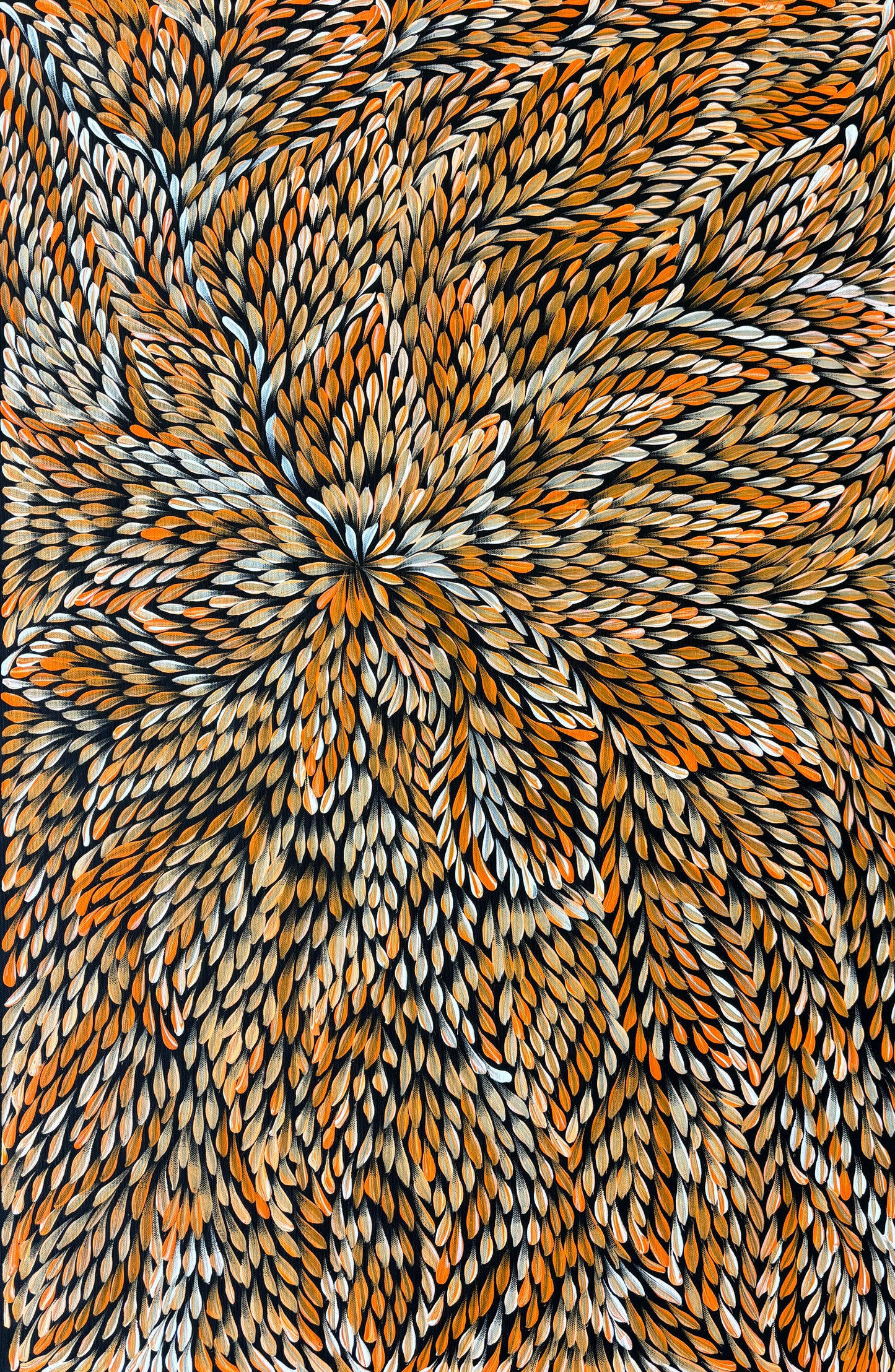 Bush Yam Leaves | SP-2508