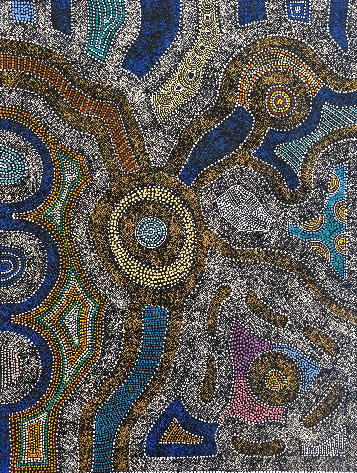 My Country, Thorny Lizard Dreaming | SP-2666