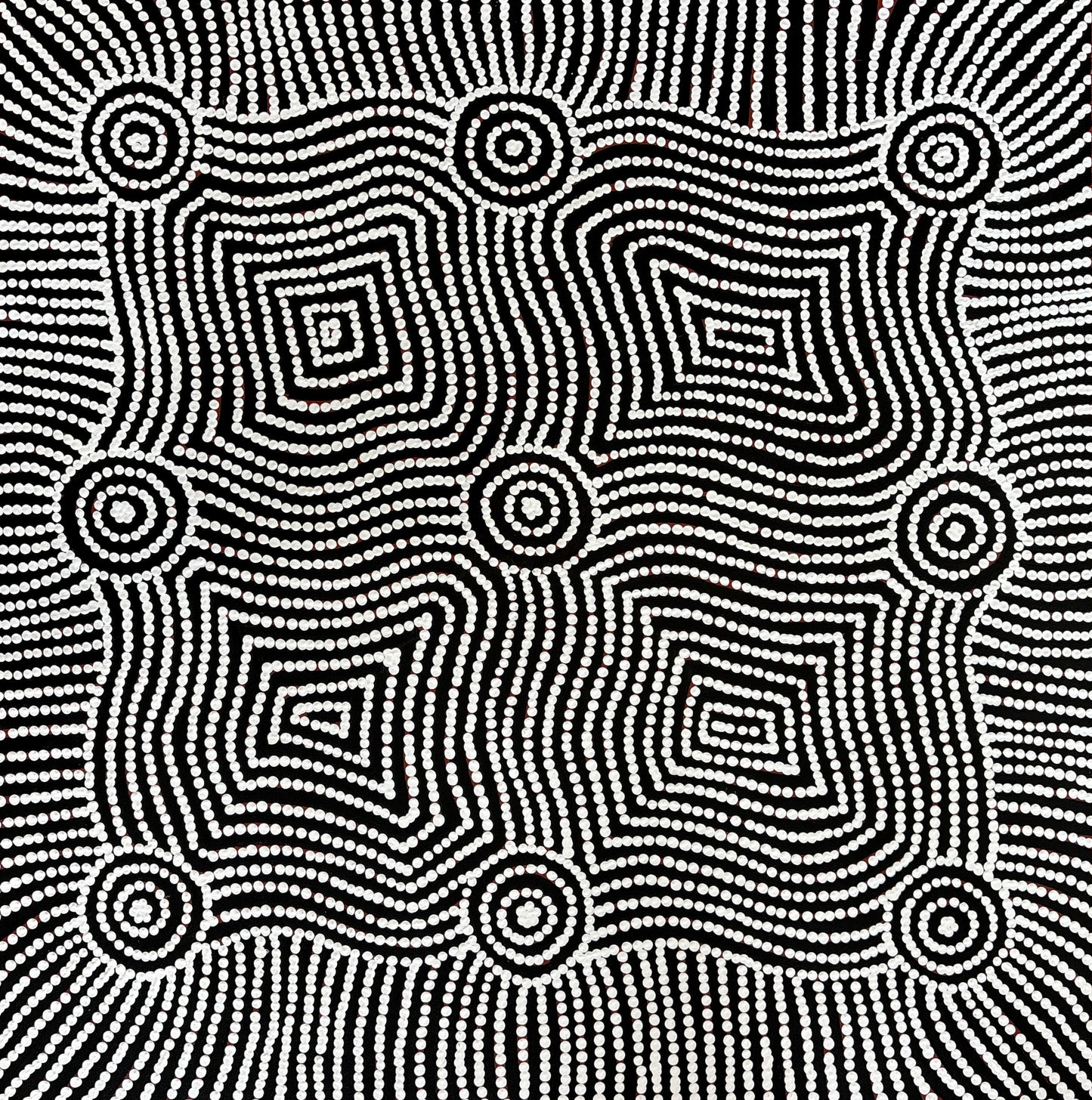 Honey Ants Dreaming | SP-2692