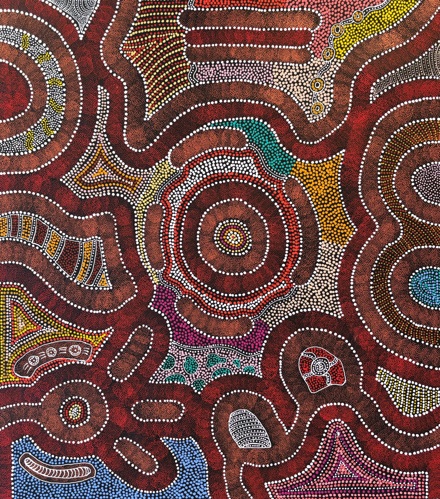 My Country, Thorny Lizard Dreaming | SP-2759