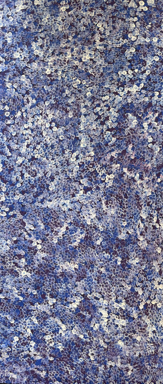 Bush Plum | CA-BGO01