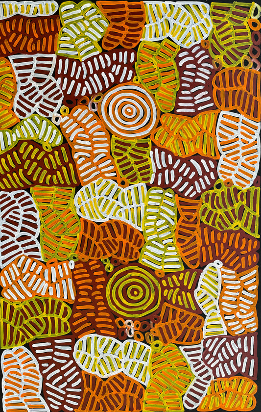 Awelye and Bush Melon | CA-BMB02