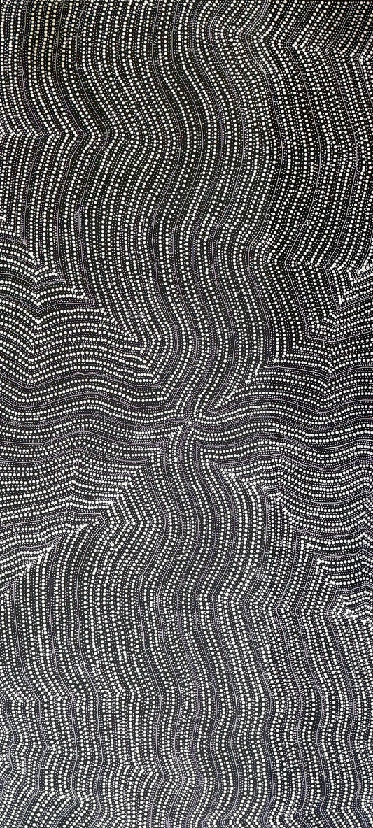 Big Seed Dreaming | CA-MRJ01