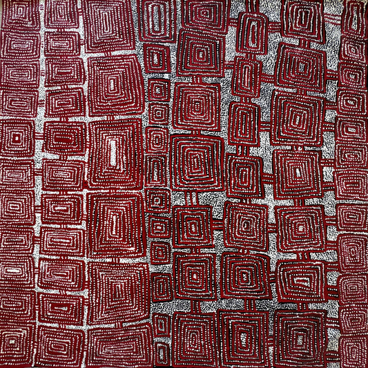 Tingari | CA-RJJ01