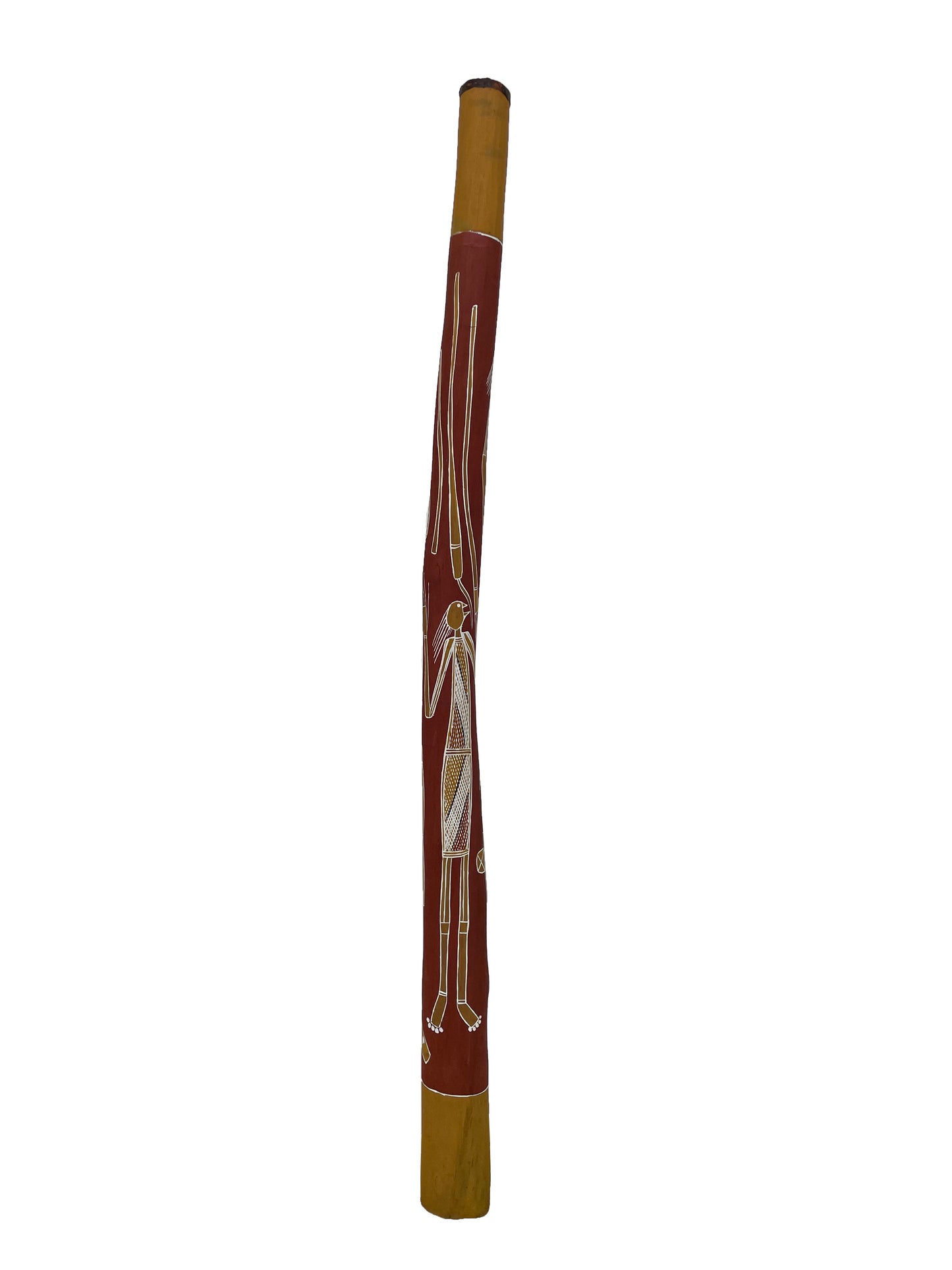 Didgeridoo | D-040