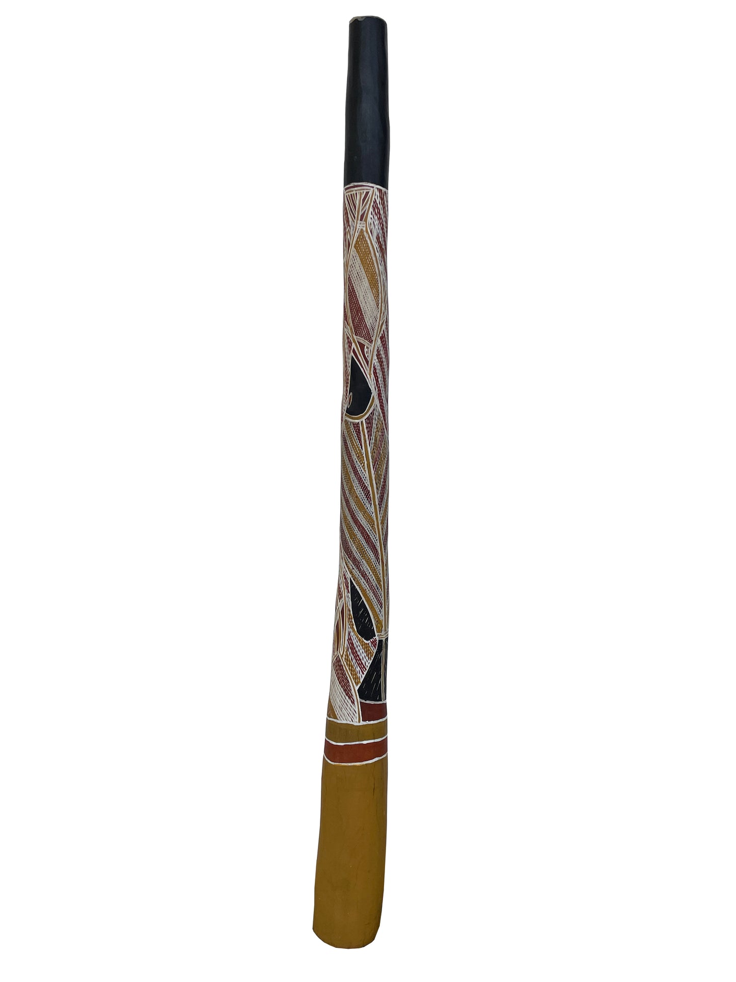 Didgeridoo | D-043