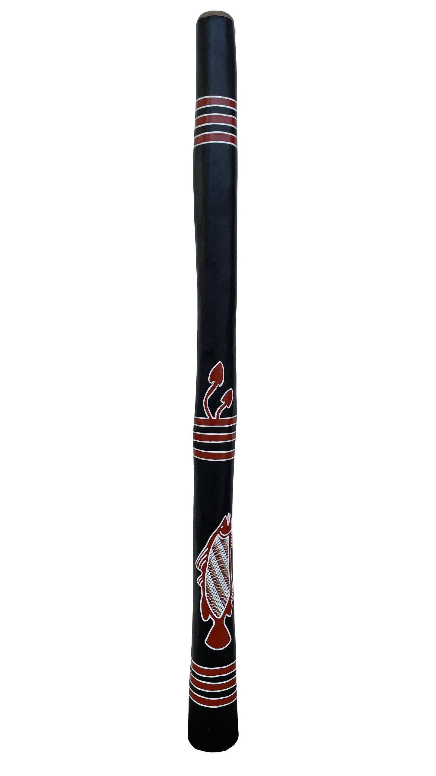 Didgeridoo | D-054