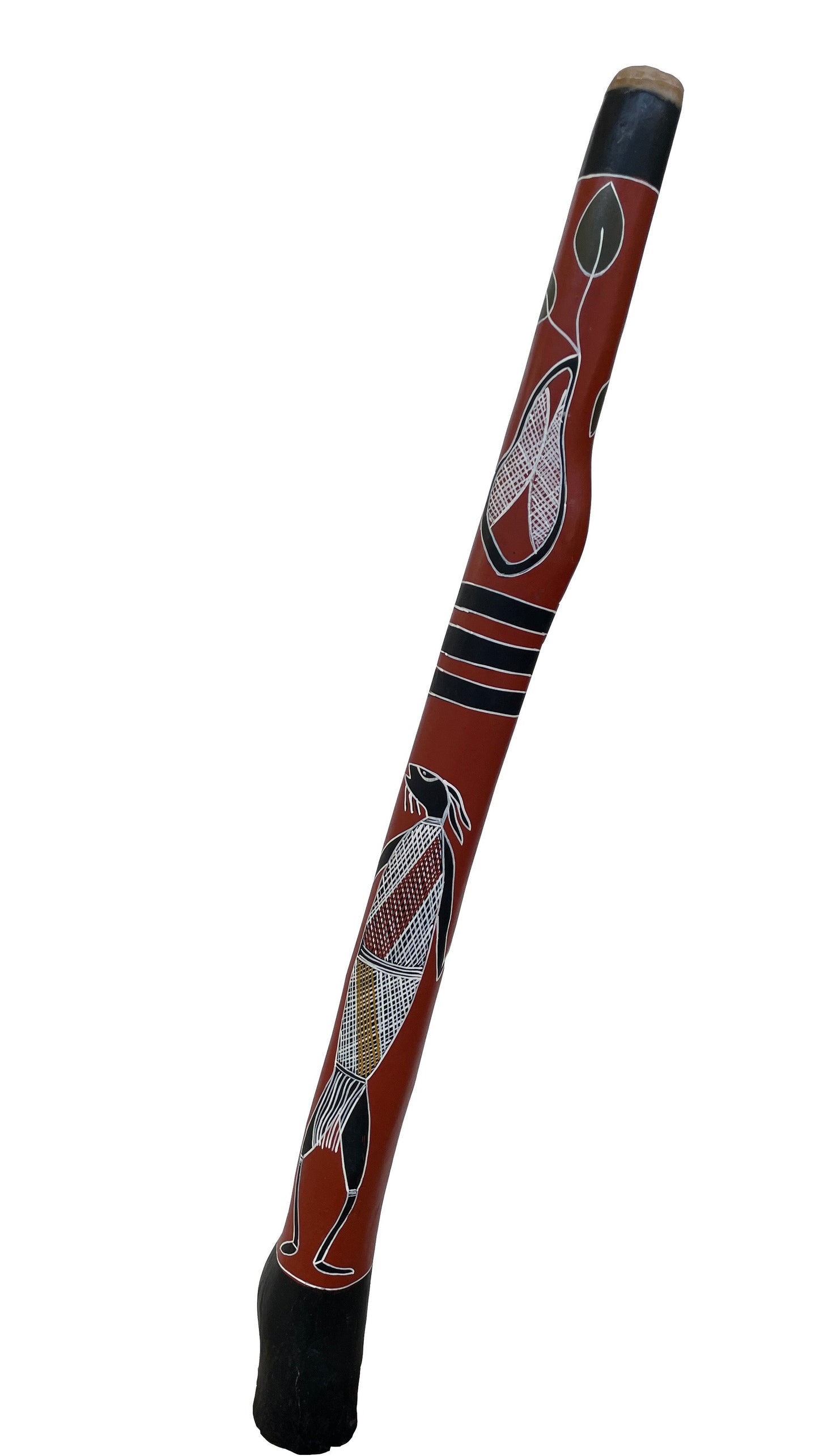 Didgeridoo | D-055