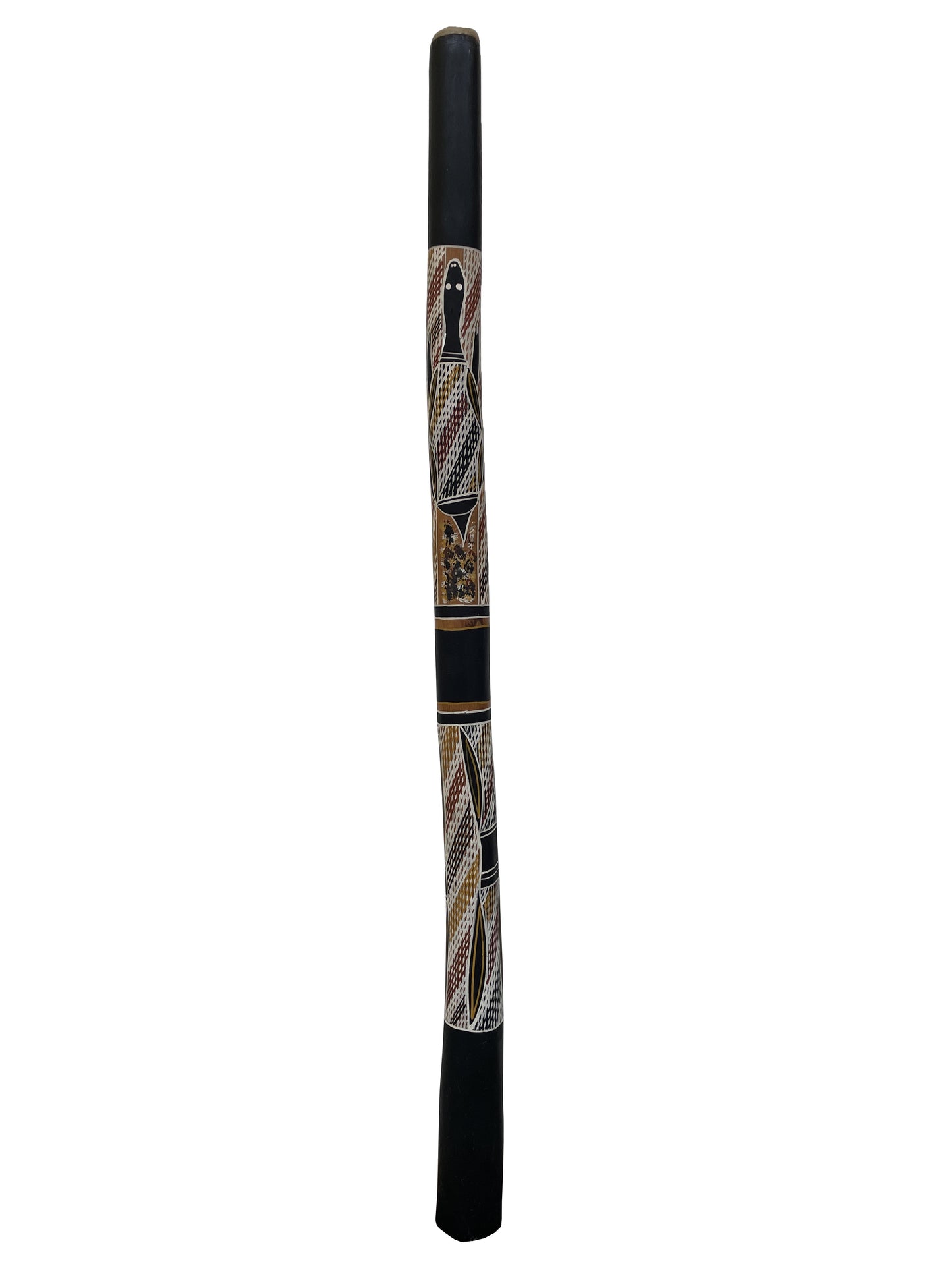 Didgeridoo | D-066