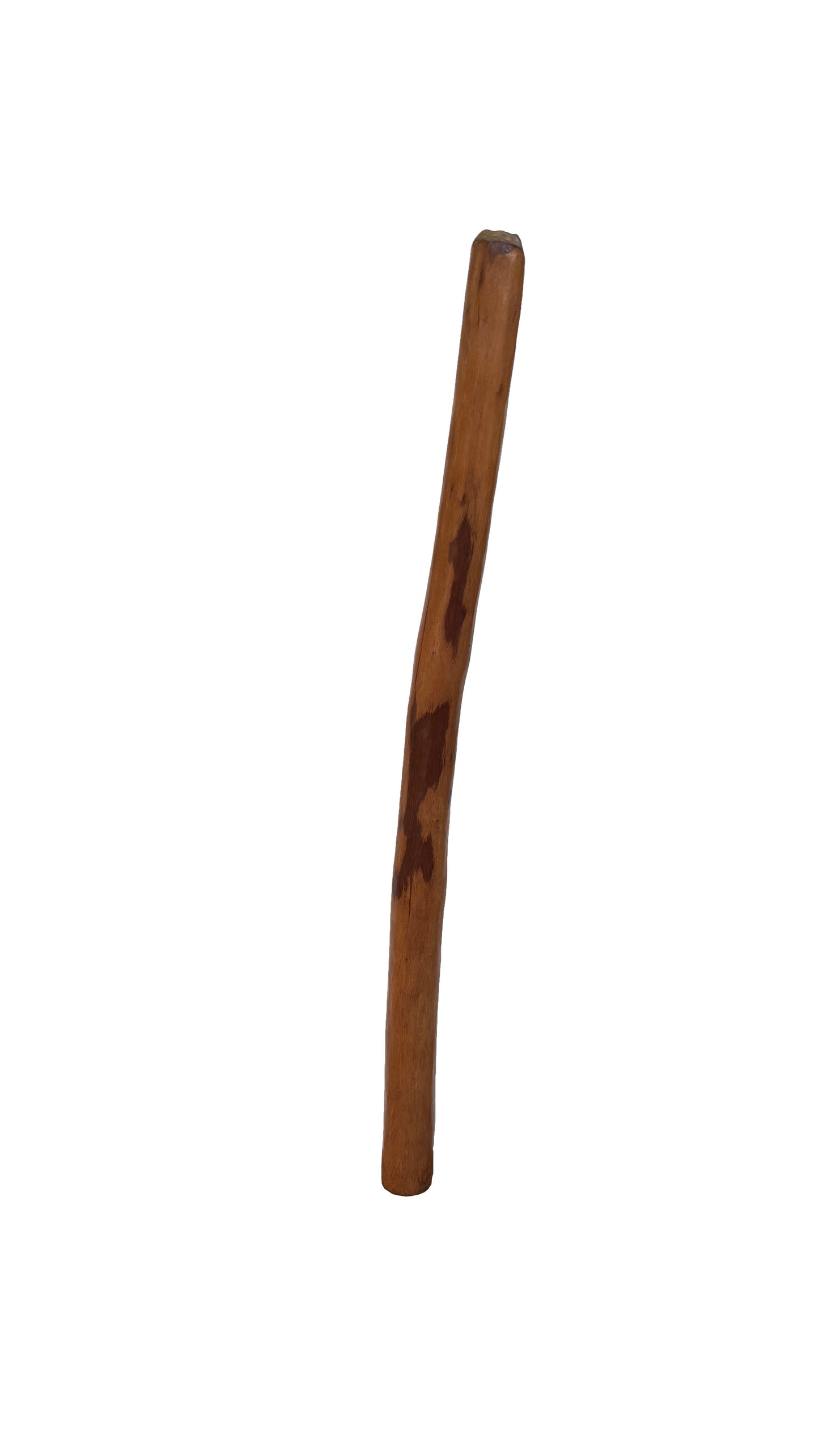Didgeridoo | D-082