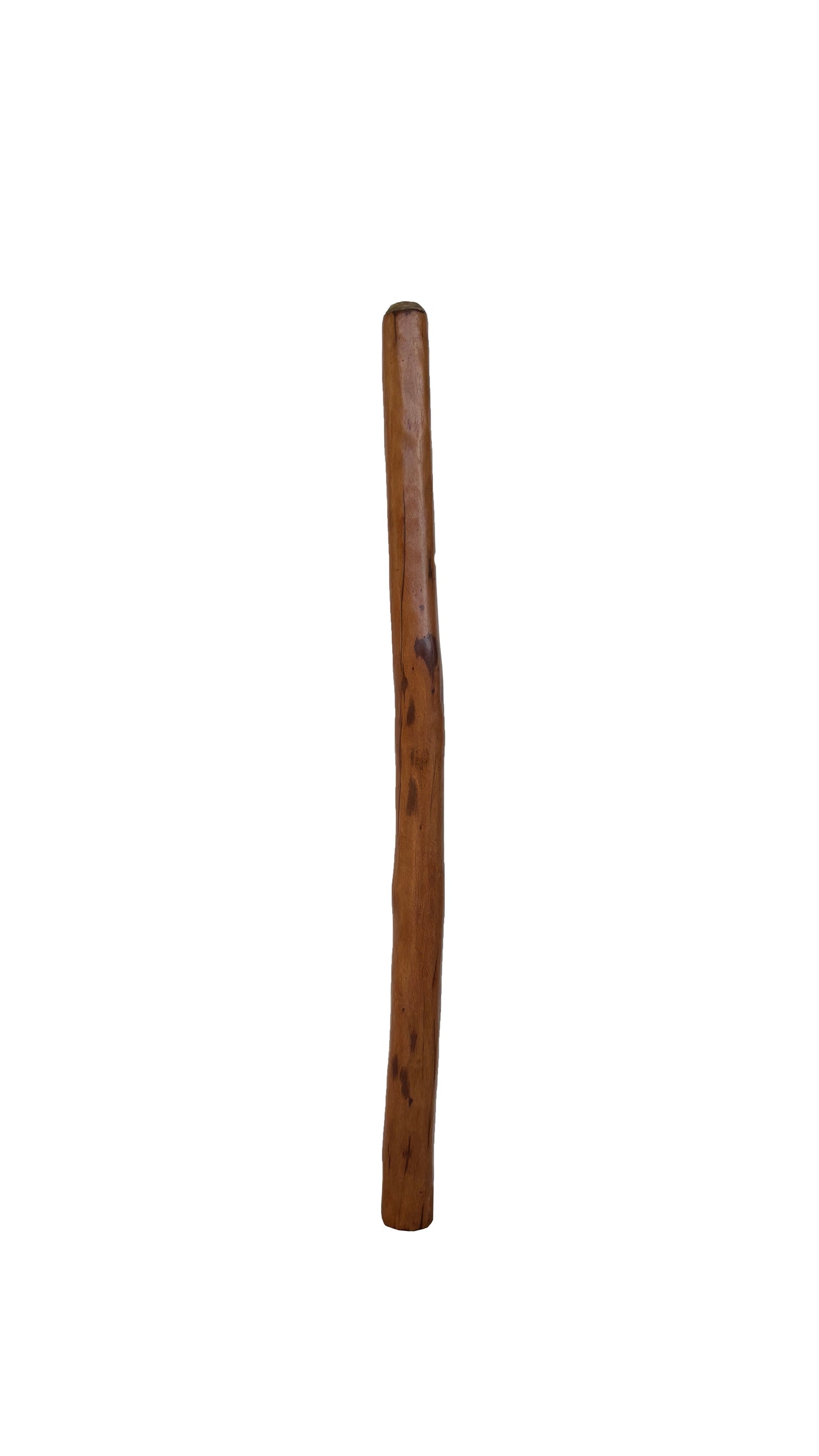 Didgeridoo | D-082