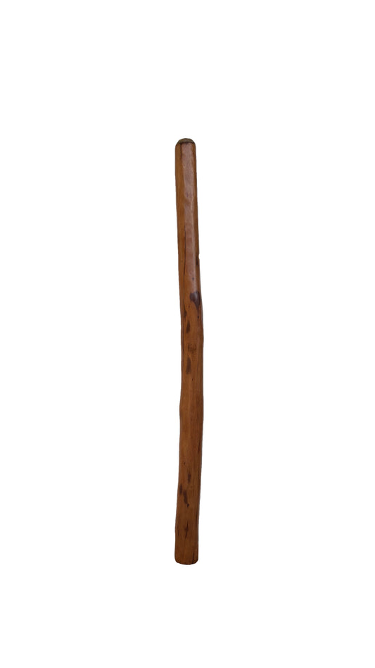 Didgeridoo | D-082