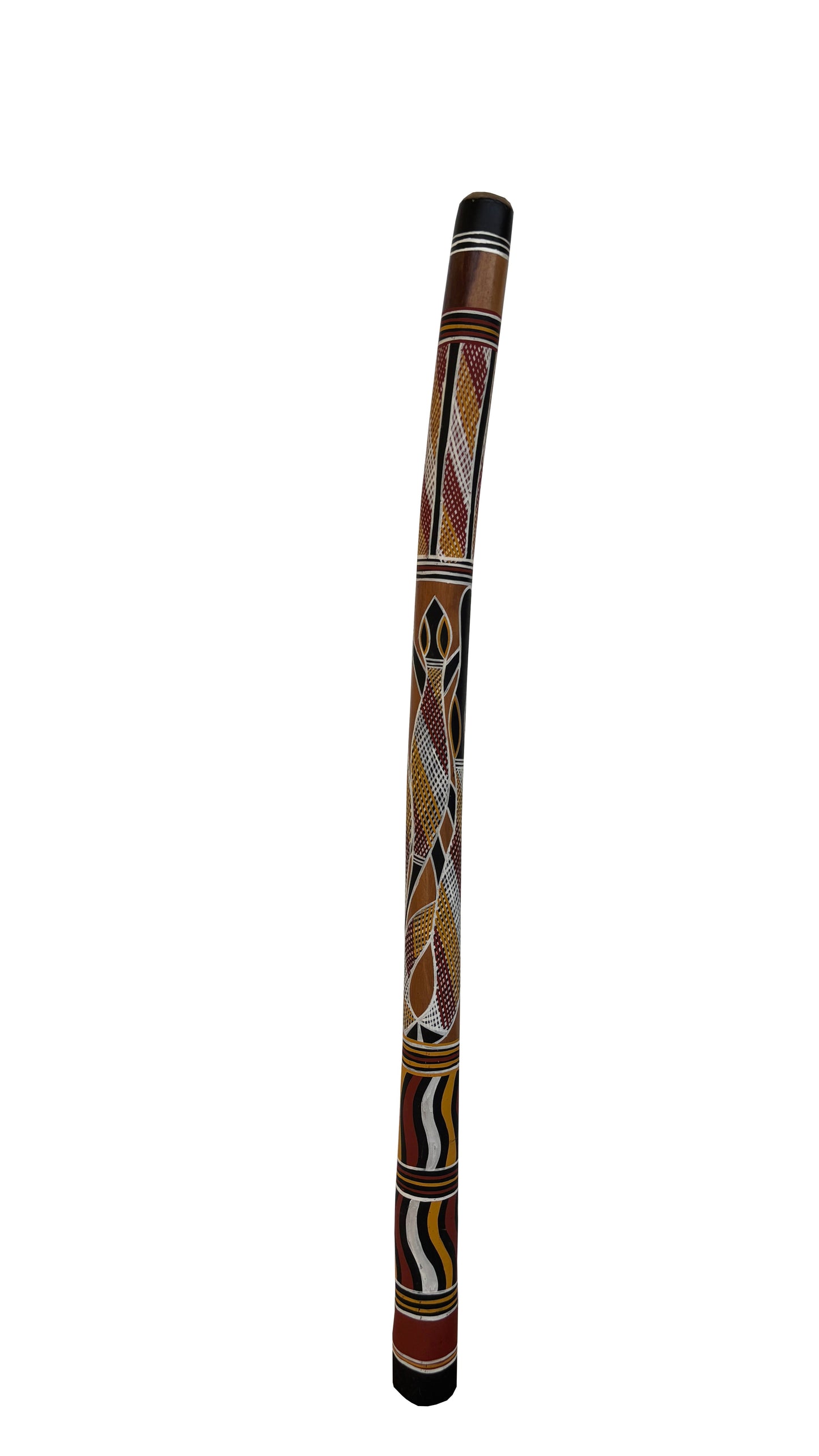Didgeridoo | D-085
