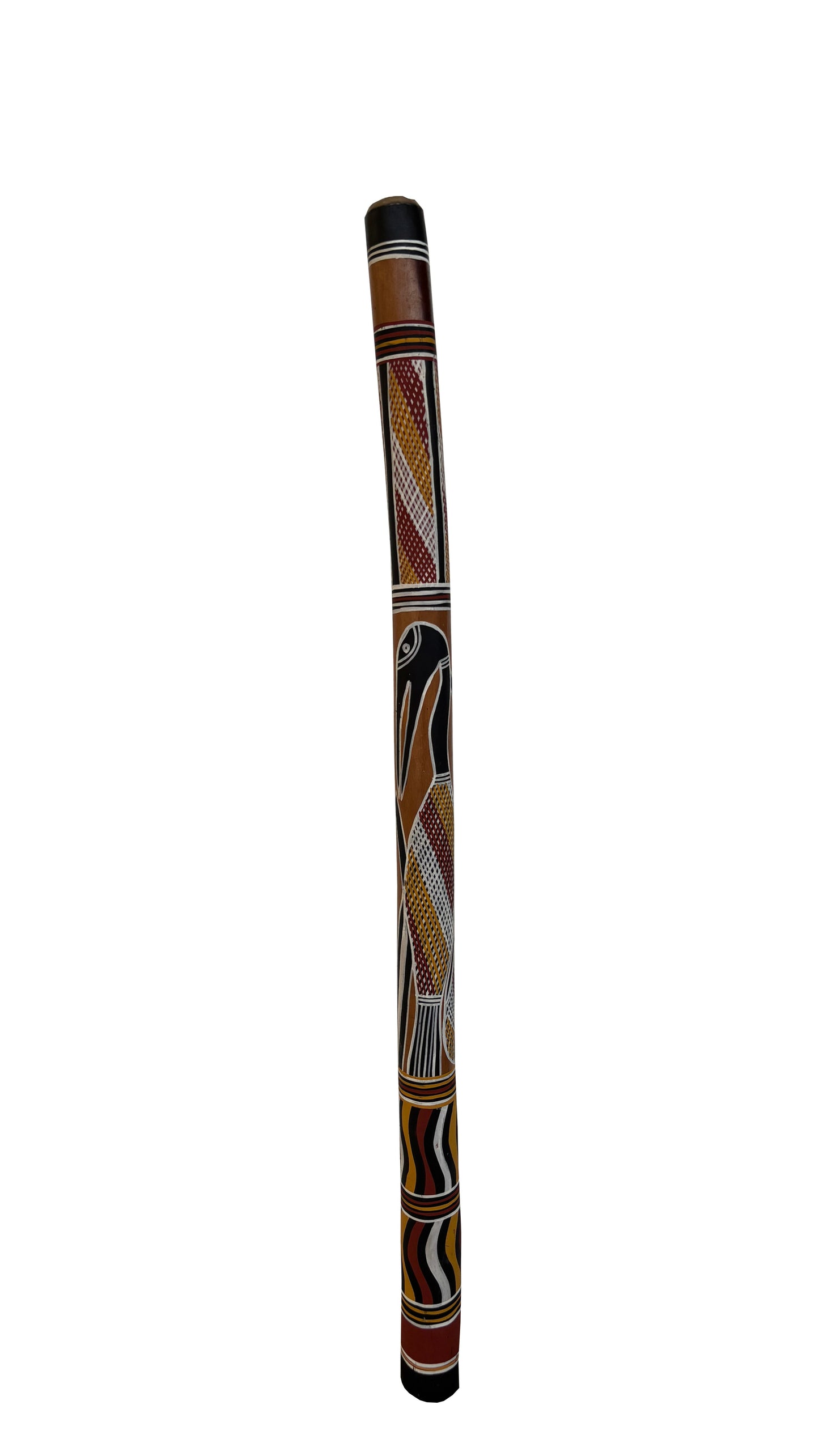 Didgeridoo | D-085