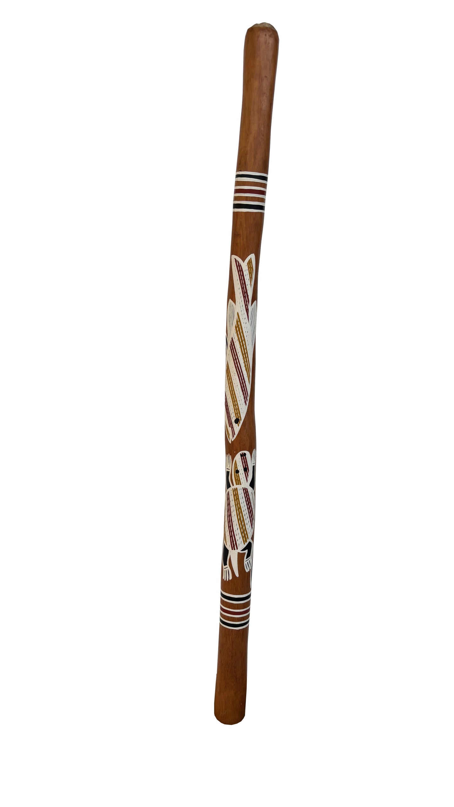 Didgeridoo | D-086