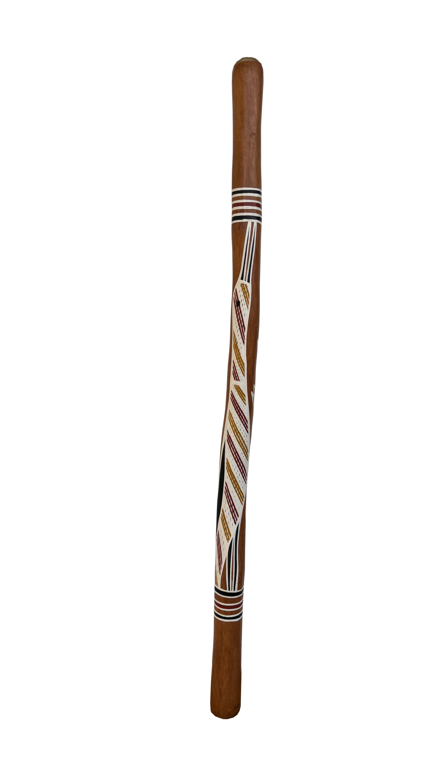 Didgeridoo | D-086