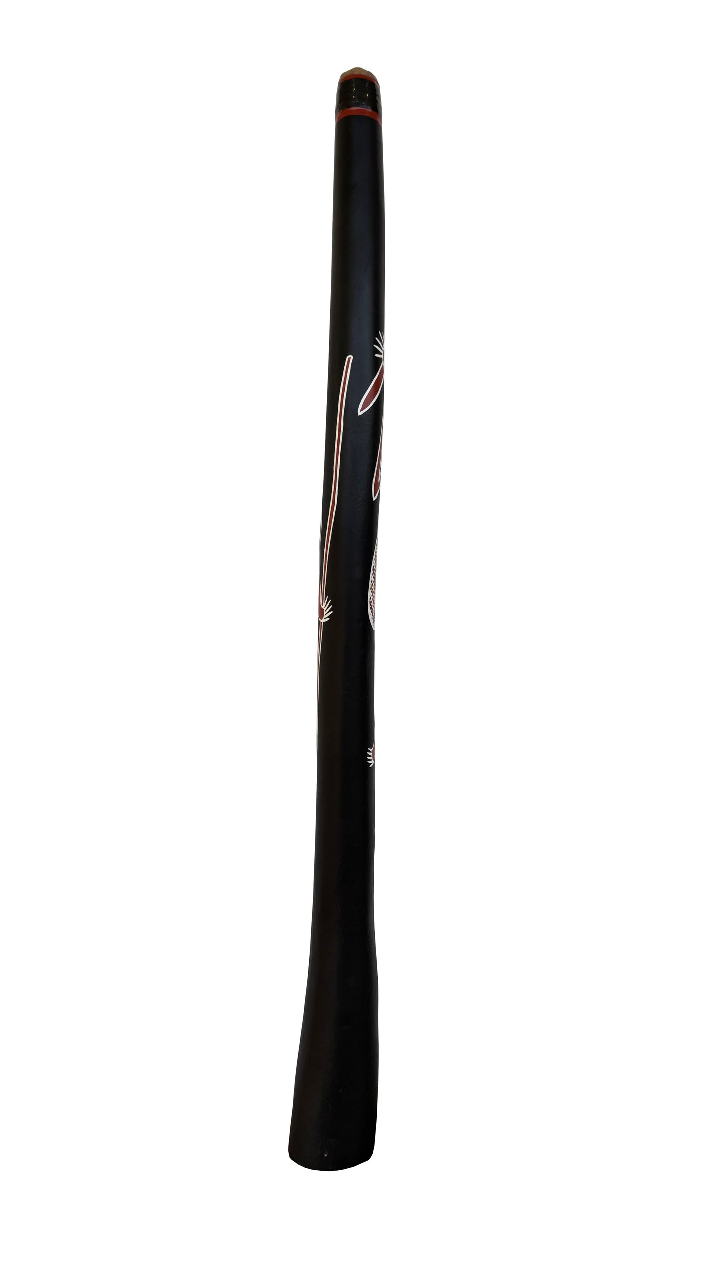 Didgeridoo | D-094