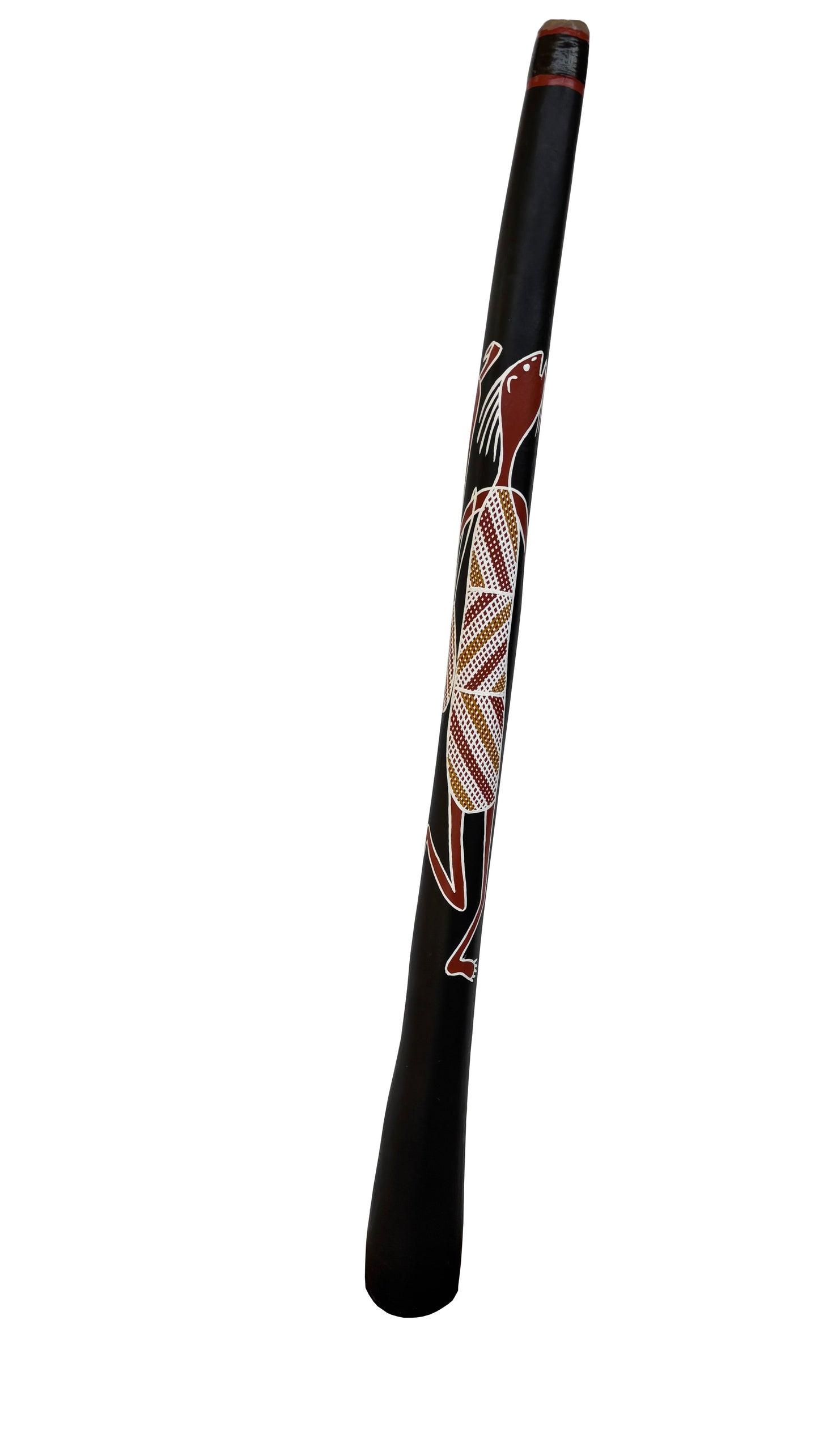 Didgeridoo | D-094