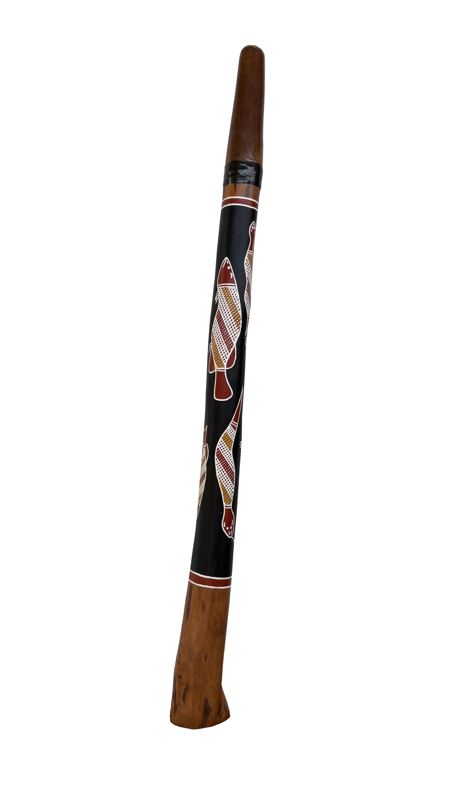 Didgeridoo | D-096