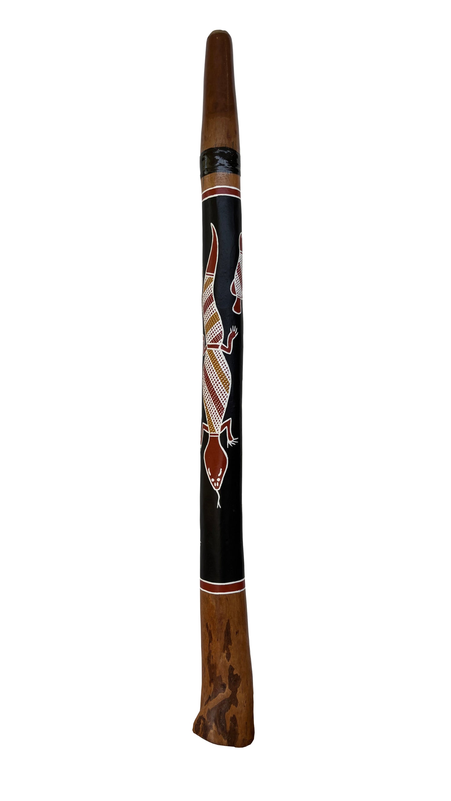 Didgeridoo | D-096