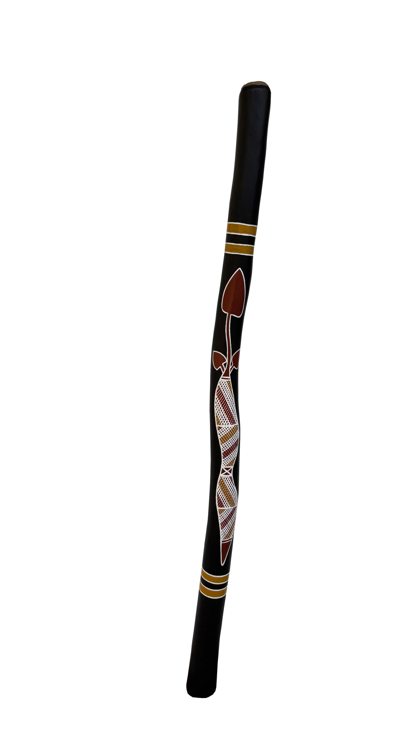 Didgeridoo | D-097