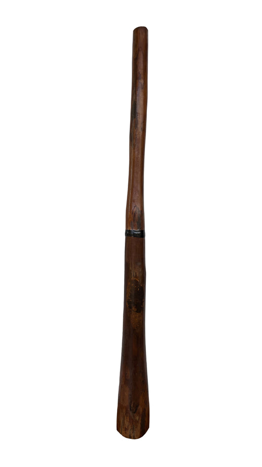 Fusion Didgeridoo | D-099