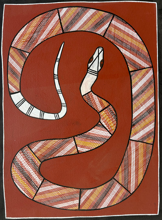 Rock Python | GA-2212