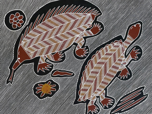 Echidna and Turtle | GA-5759