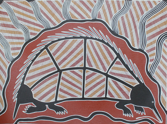 Echidna in Cave
