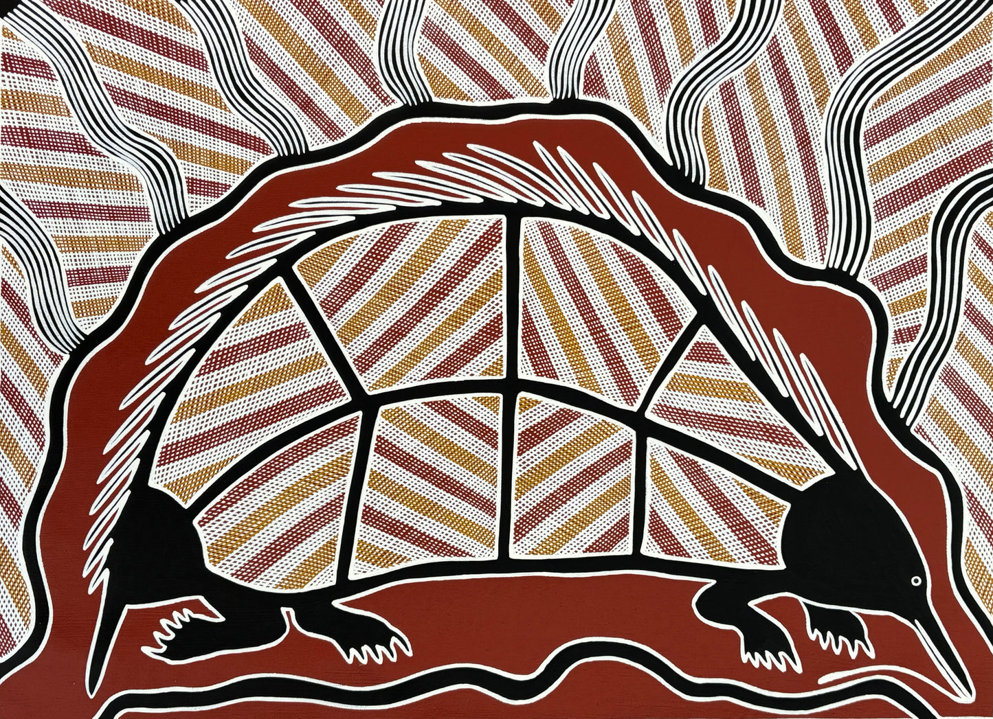 Echidna in Cave | GA-5986