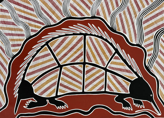 Echidna in Cave | GA-5986