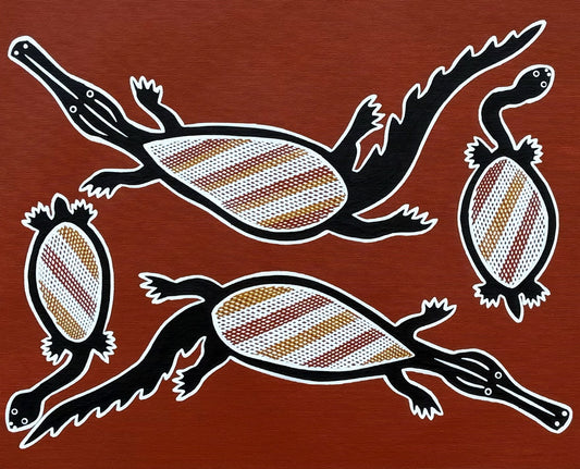 Freshwater Crocodile & Turtles | GA-6036