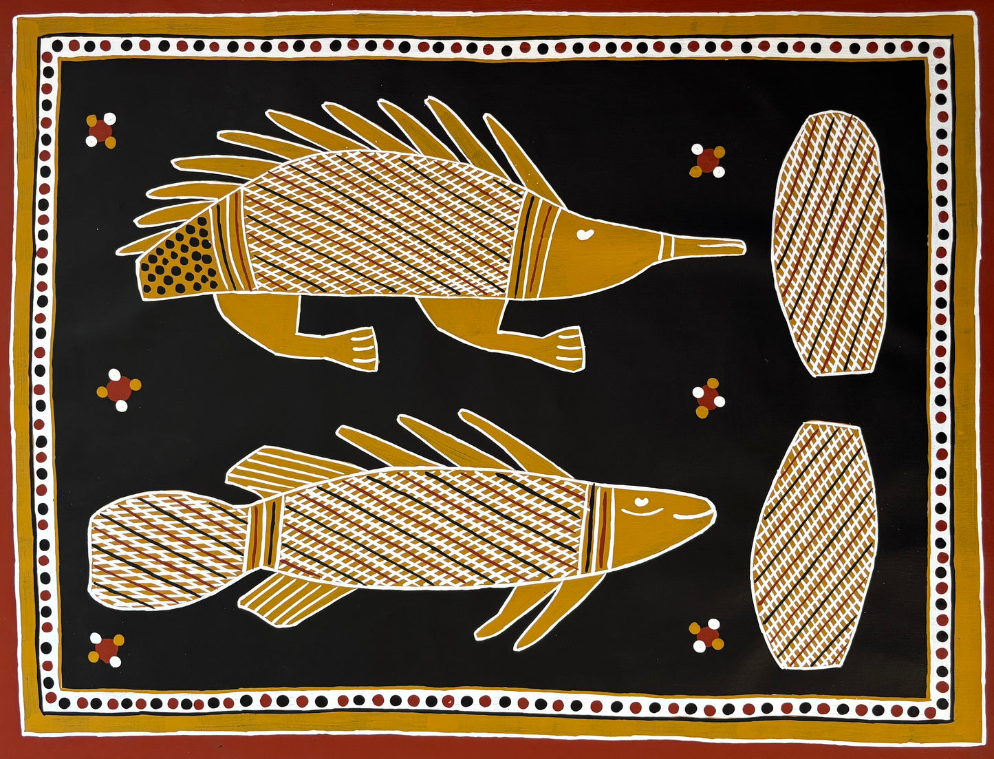 Echidna and Bream | GA-6229