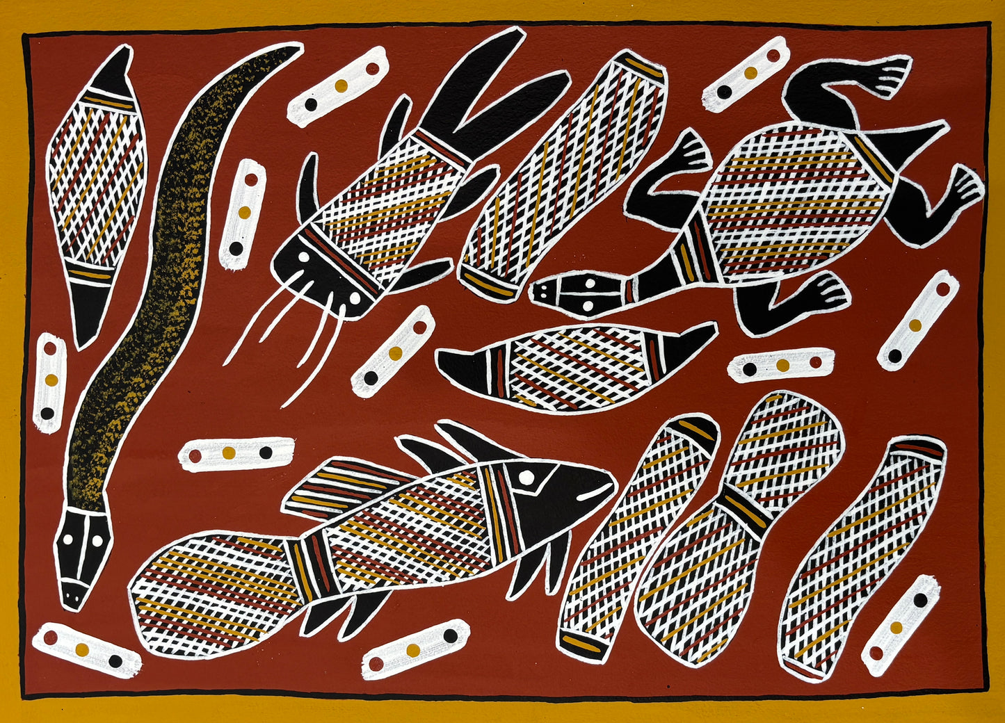 Bush Tucker | GA-6234