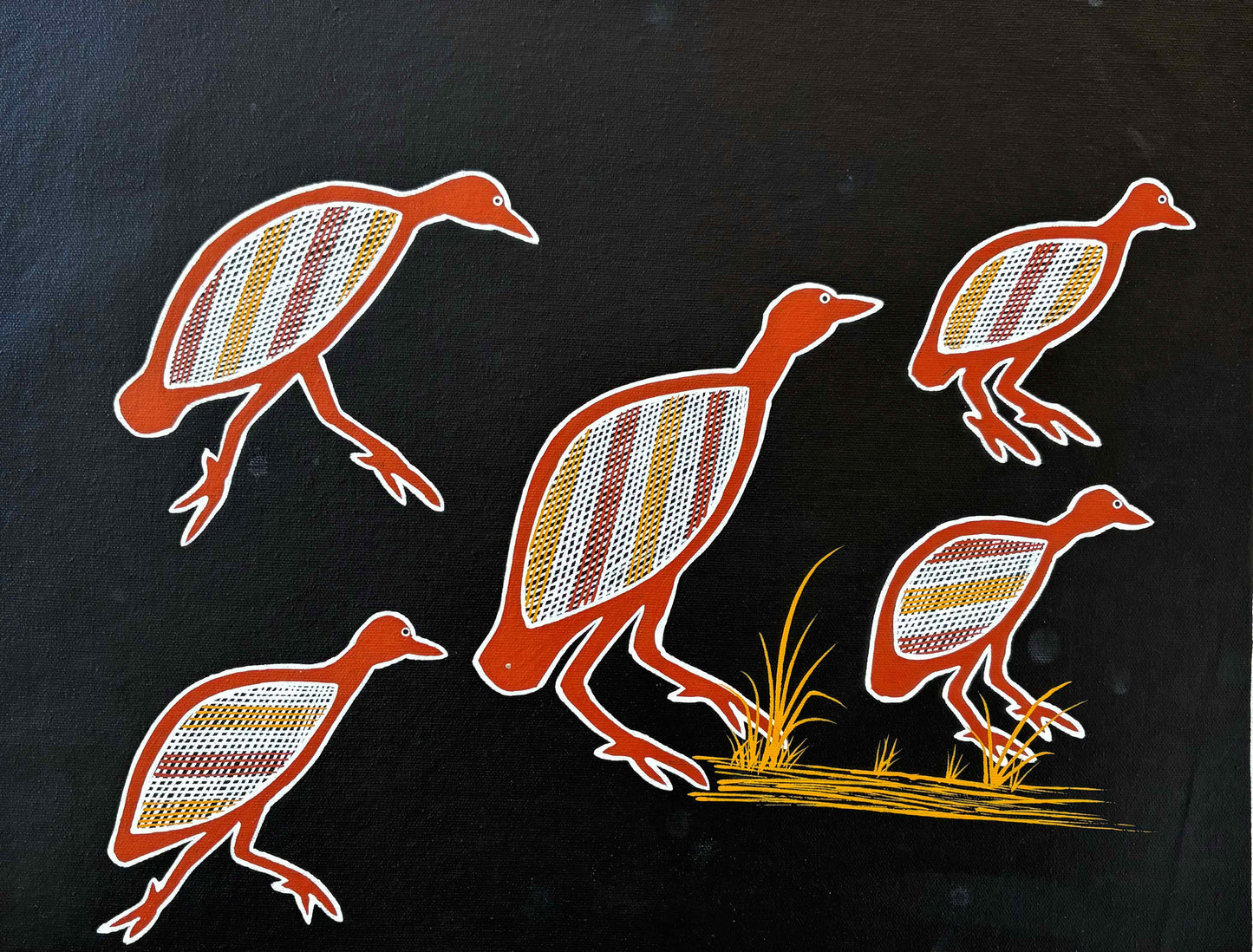 Quails (Djirrihrdi) | GA-5569
