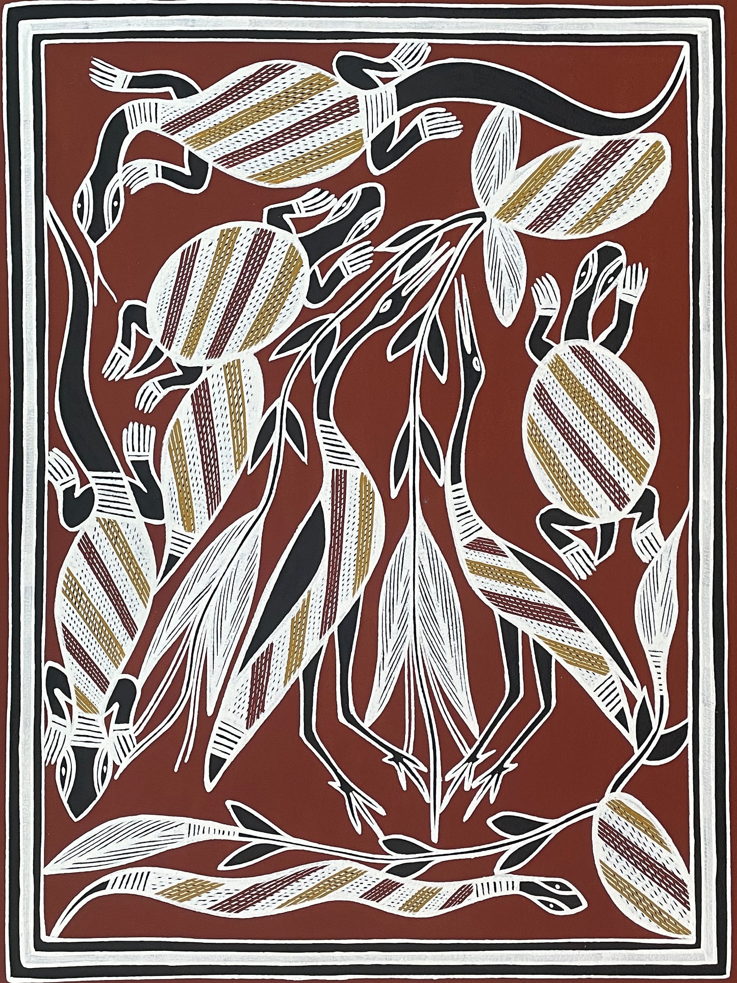 Billabong Animals | KW-404