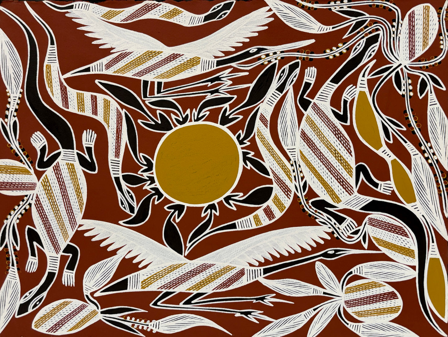 Billabong Animals | KW-411