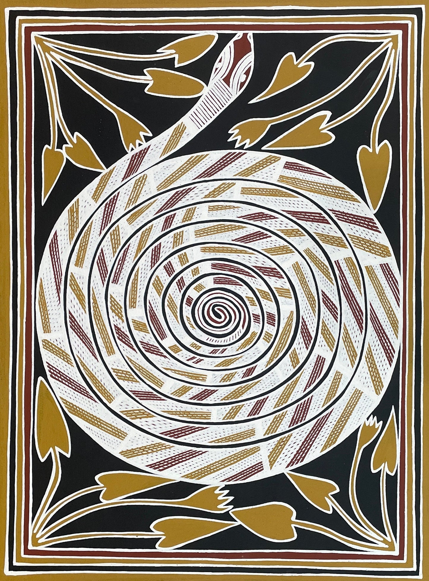 Billabong Python | KW-482