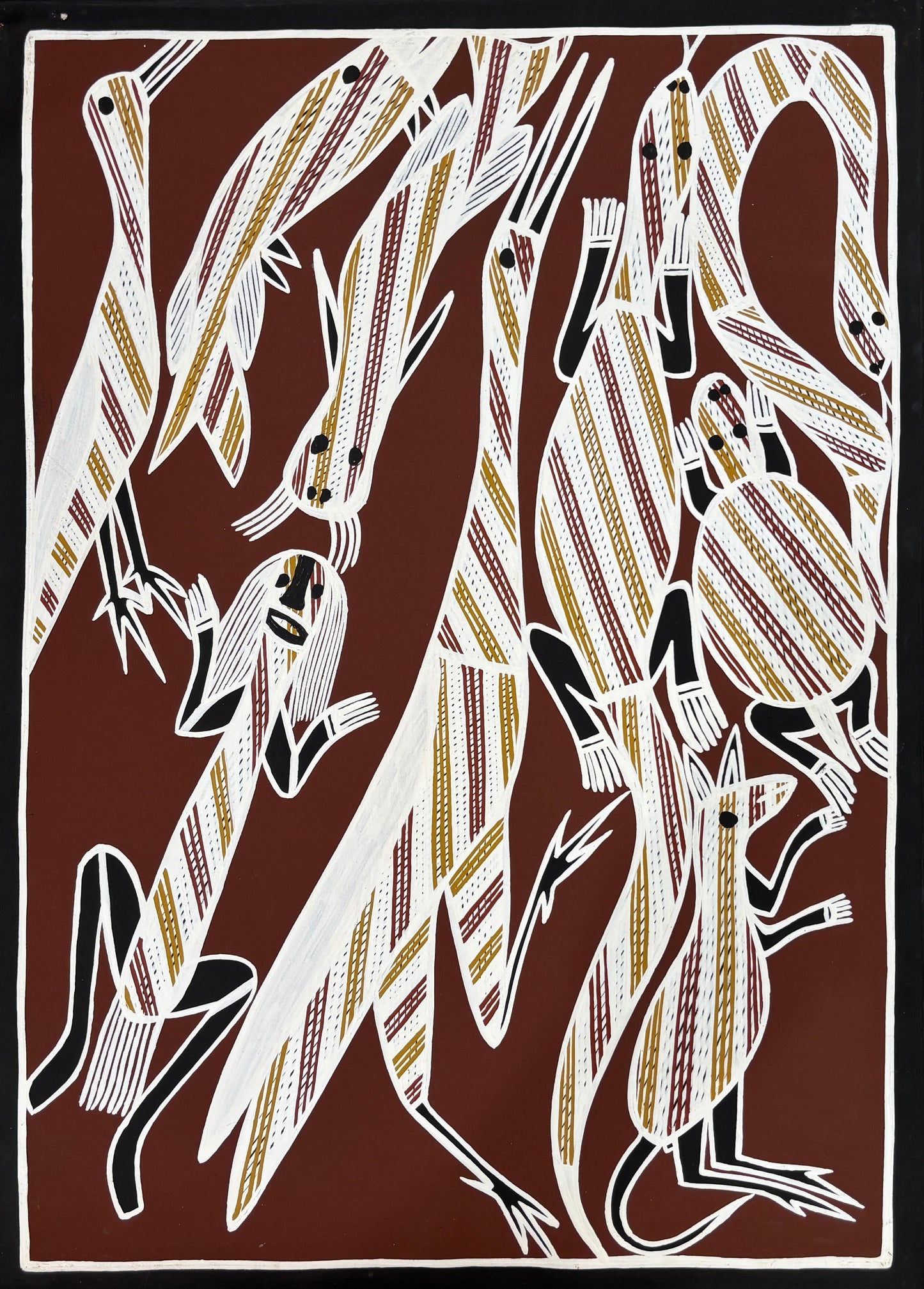 Billabong Tucker | KW-599