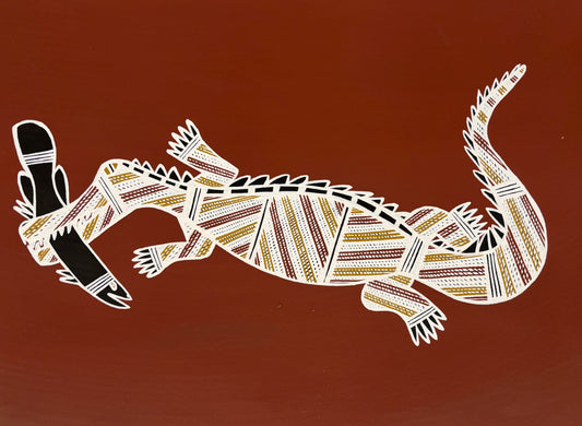 Saltwater Crocodile with Barramundi | KW-657