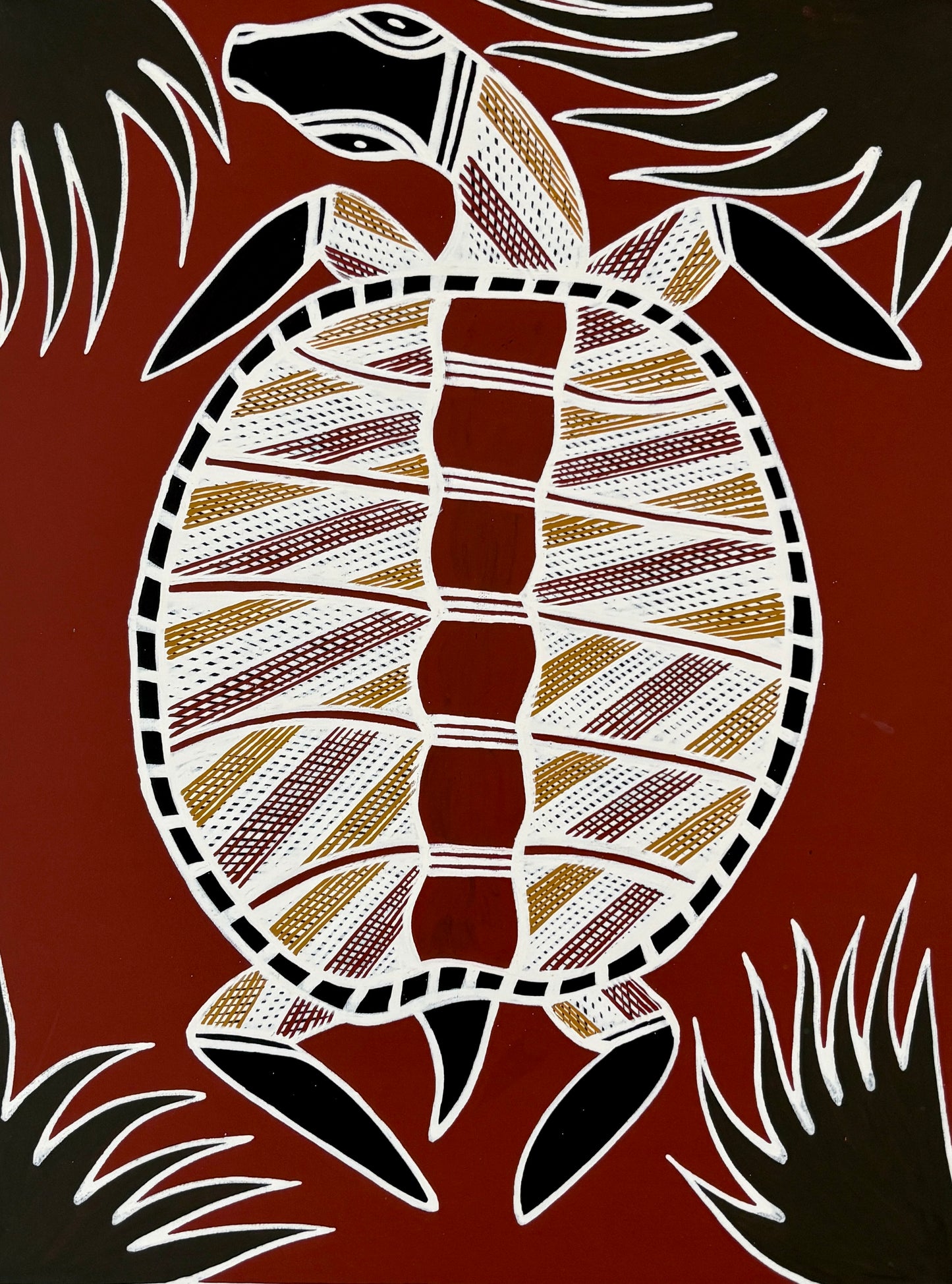 Sea Turtle | KW-735