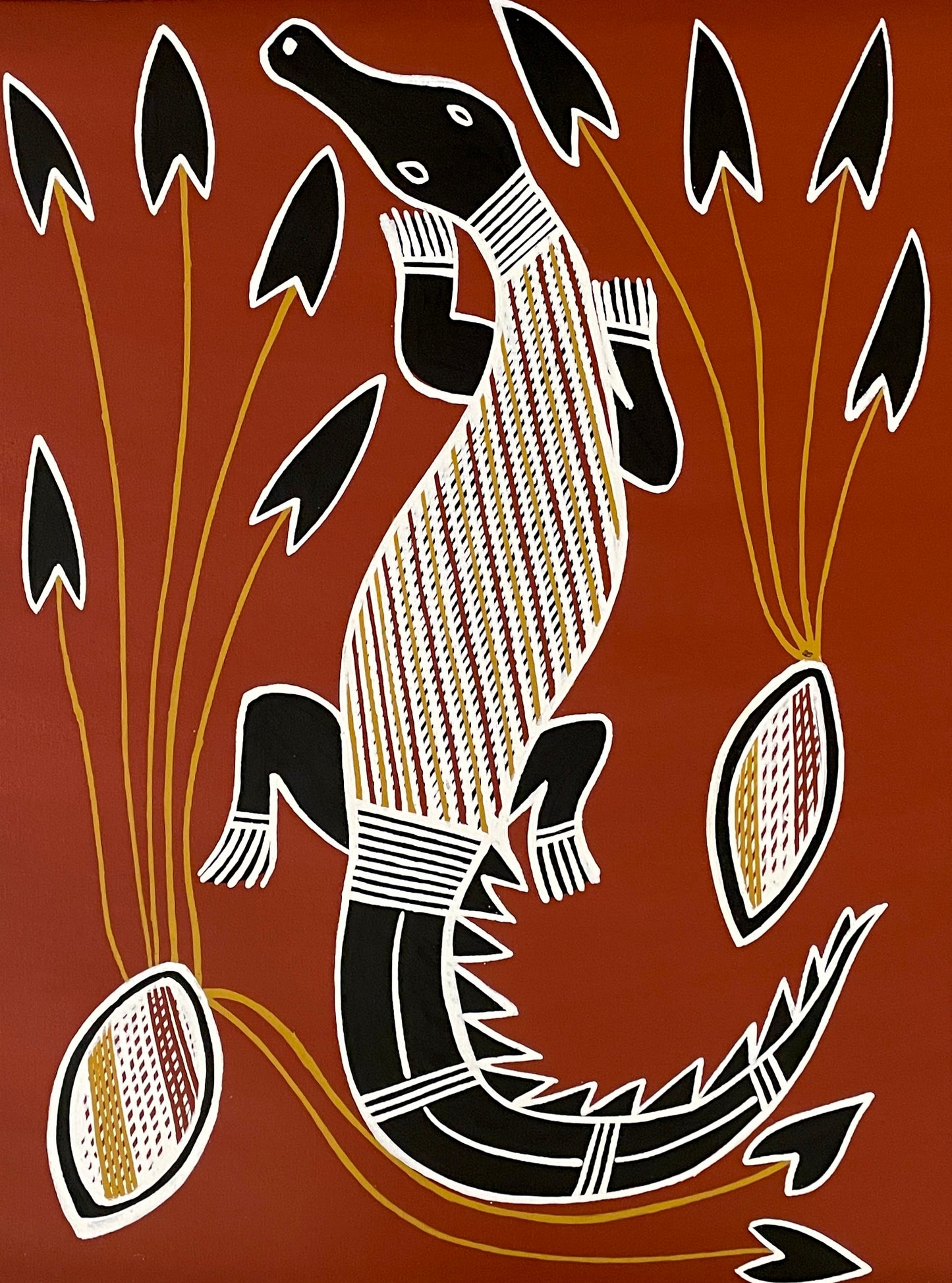 Saltwater Crocodile with Yam | KW-758