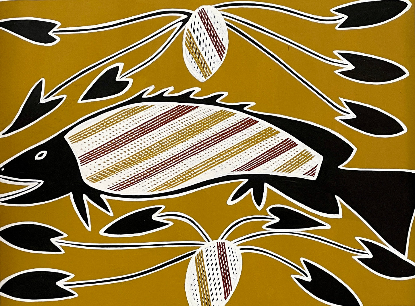 Barramundi with Yams | KW-759