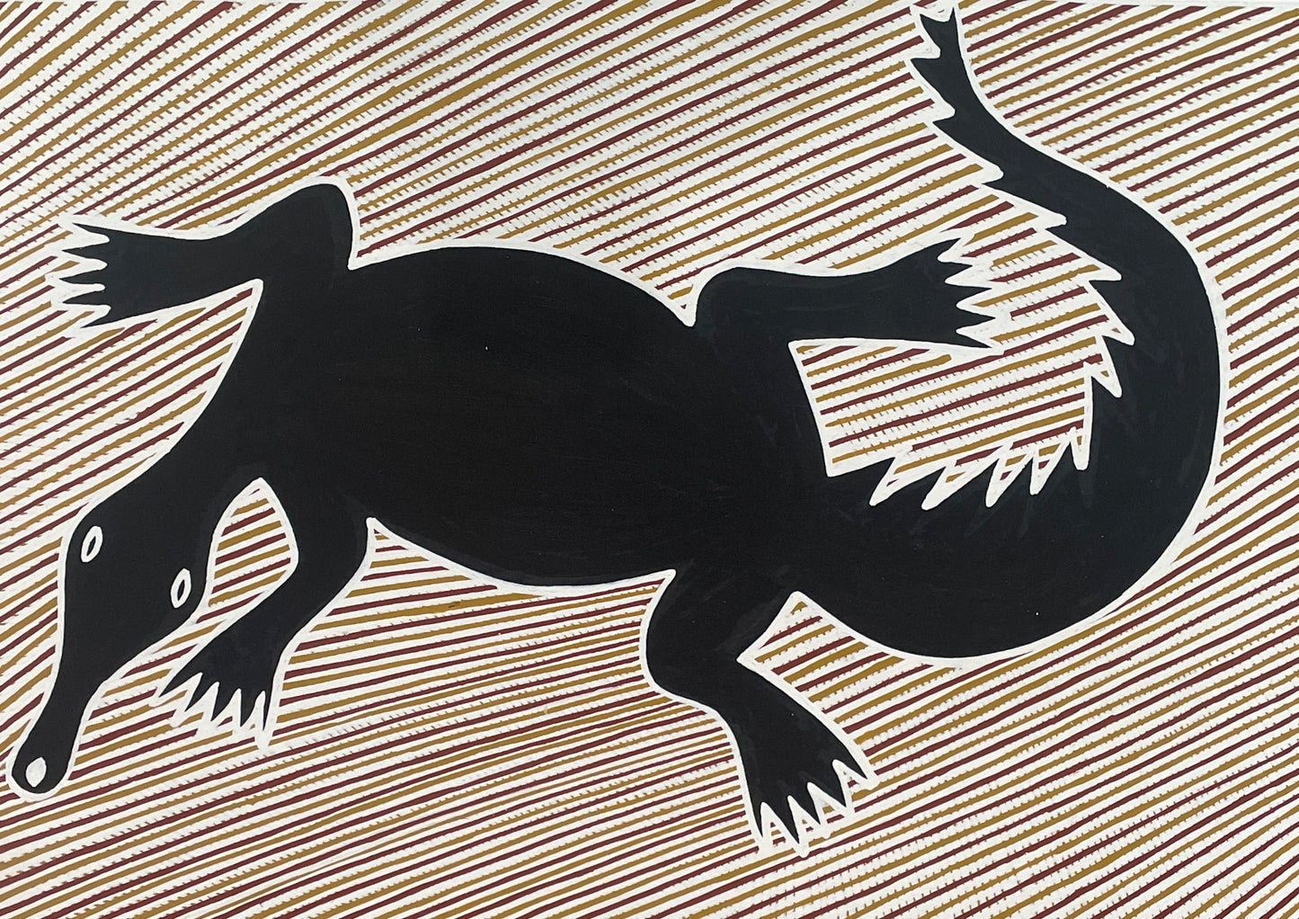 Freshwater Crocodile | KW-761