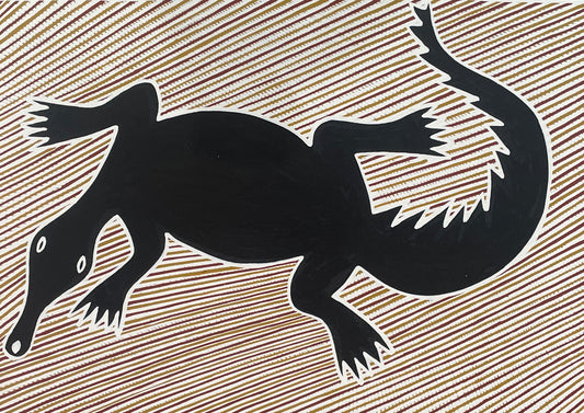 Freshwater Crocodile | KW-761