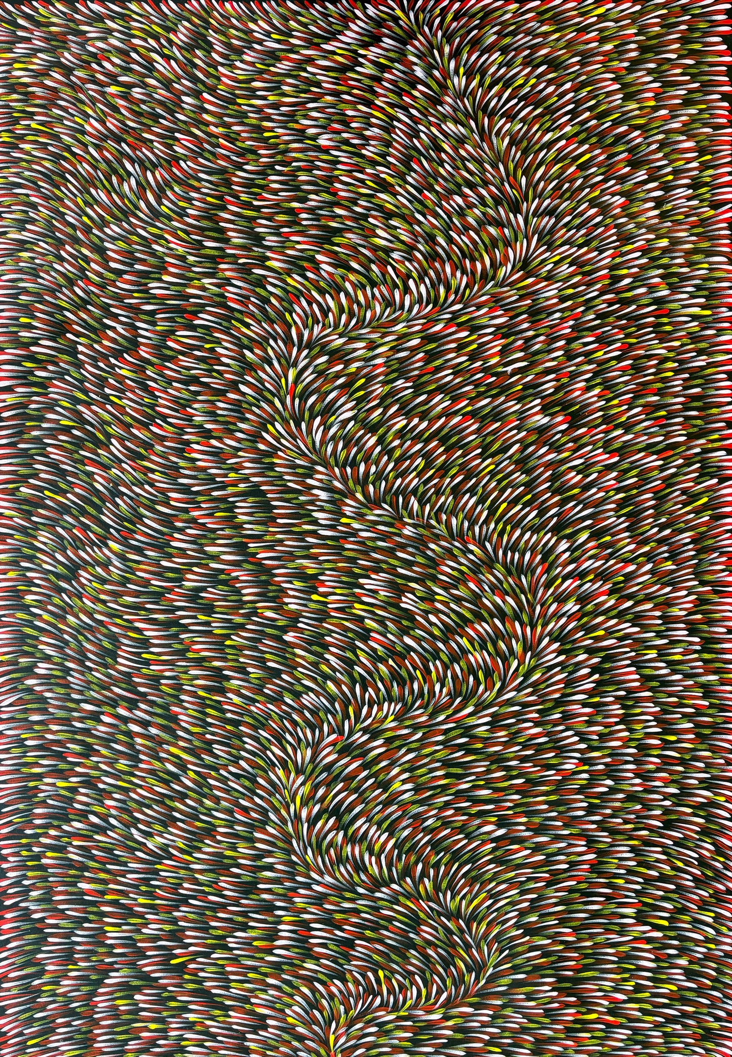Medicine Leaves | PPFA-2024004