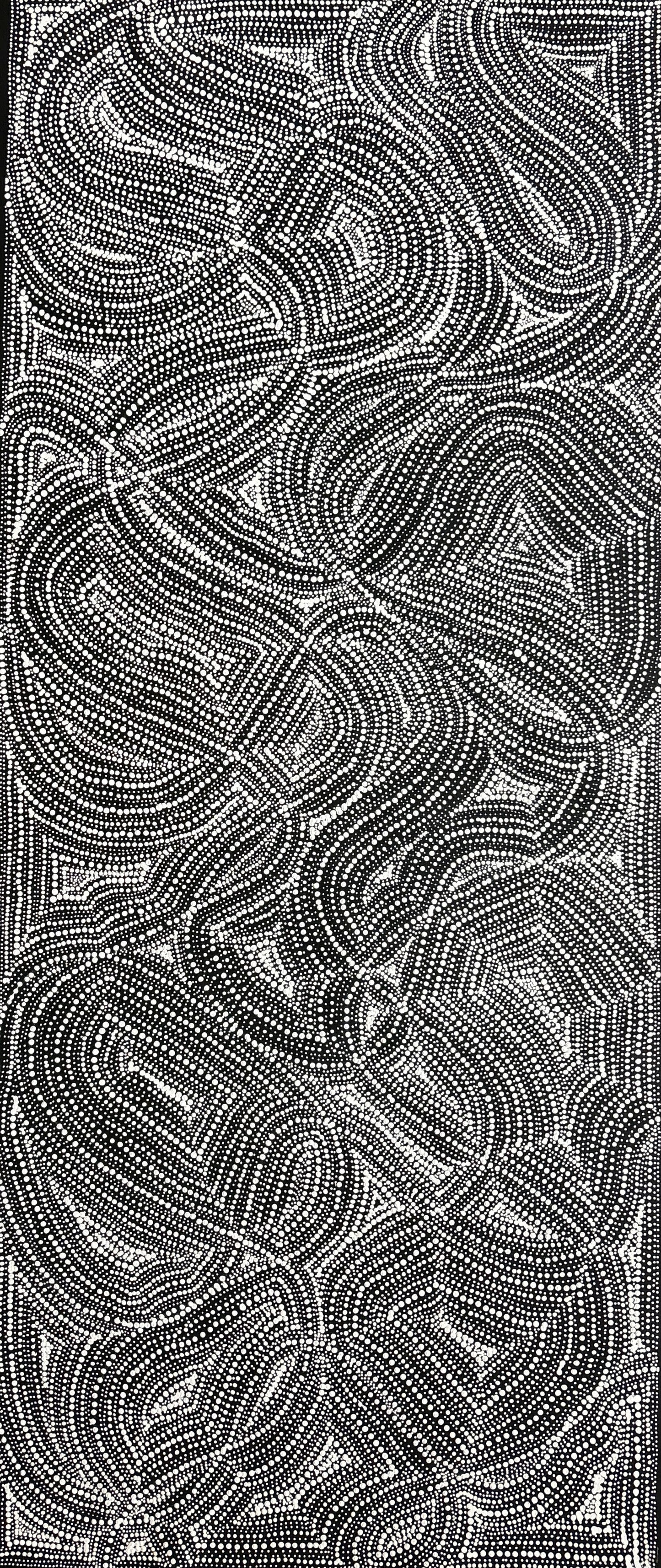 Seed Dreaming | PPFA-24001