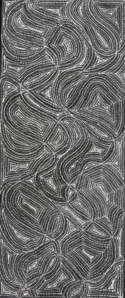 Seed Dreaming | PPFA-24001